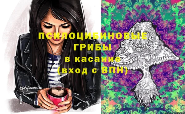а пвп мука Алзамай
