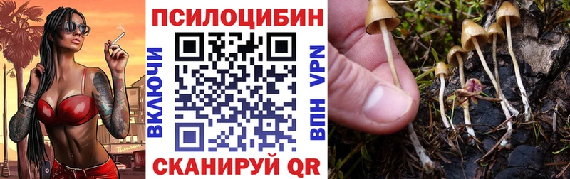 shop телеграм Уварово Псилоцибиновые грибы ЛСД