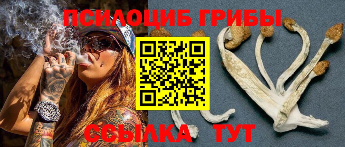Псилоцибиновые грибы Magic Shrooms Уварово